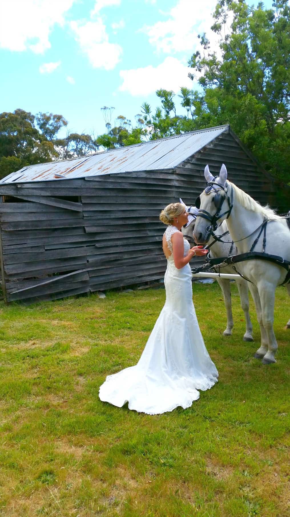 Beautiful bride at Spring Farm
