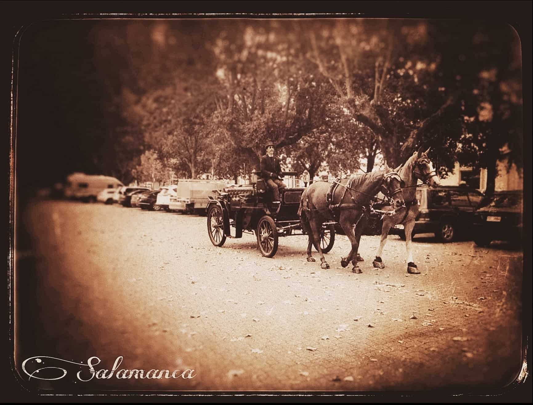 Carriage on Salamanca