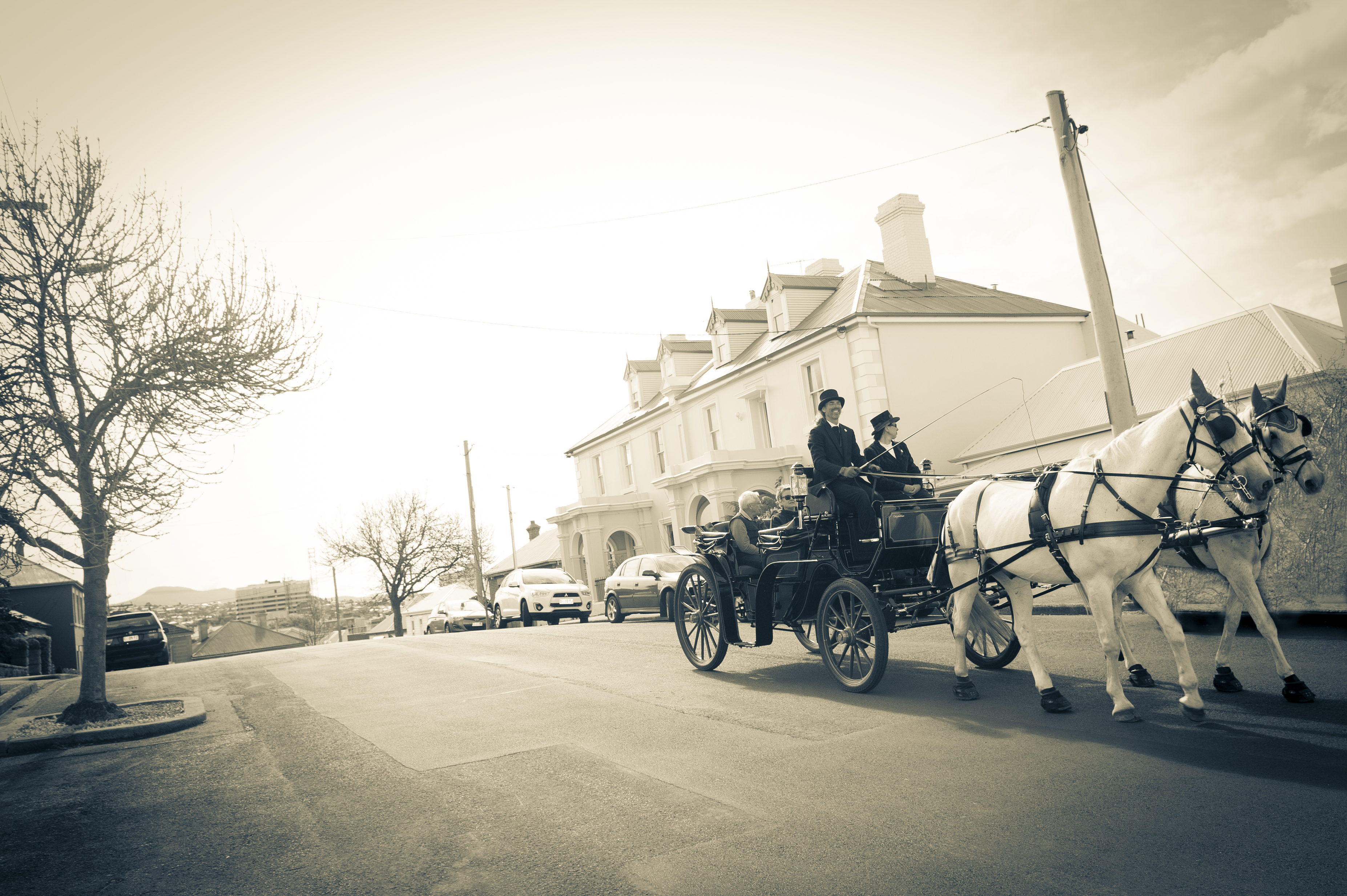 horses, battery point, carriage ride, st georges church