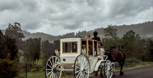 Castle Phoenix Carriage Tour